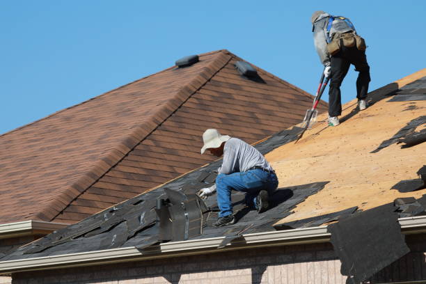 Best Roof Insulation Installation  in Guadalupe, CA